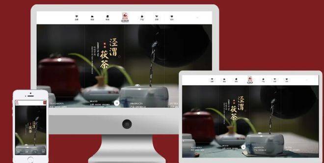 安康网站设计制作公司实力派,助力本地企业建立崭新互联网品牌