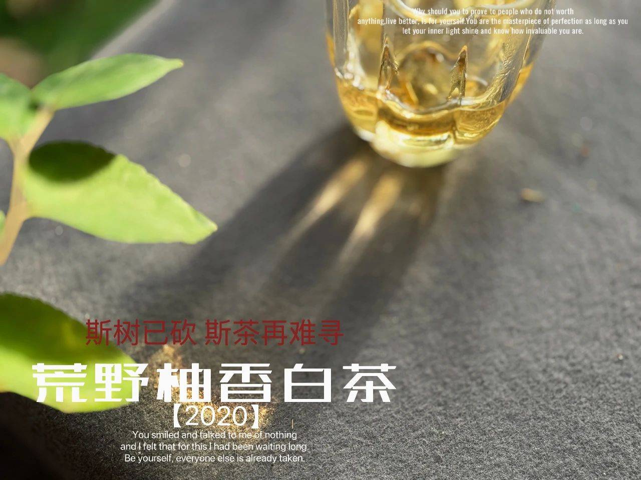文章配图-8