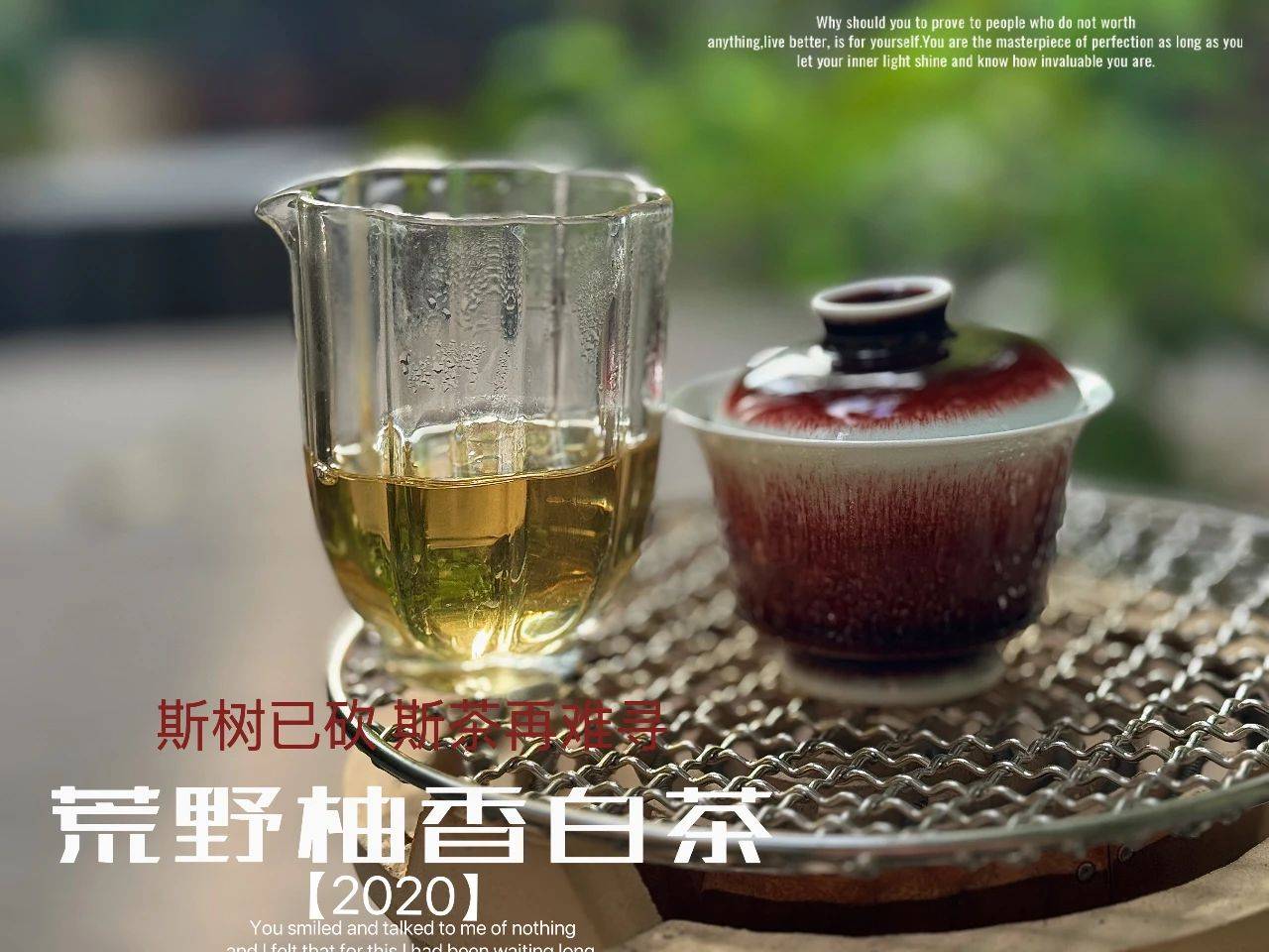 文章配图-7