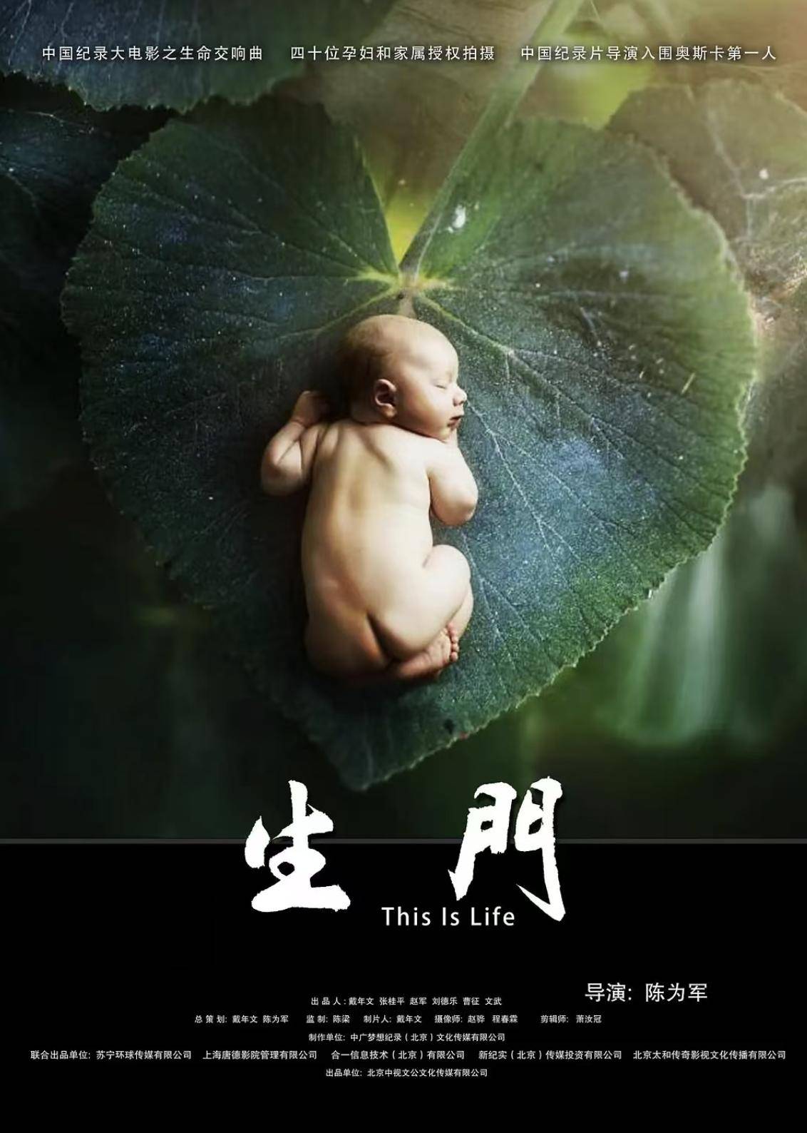 文章配图-8