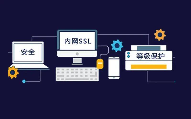 在什么情境下，组织必须建立内网连接服务器以保障网络安全和数据管理？  第1张