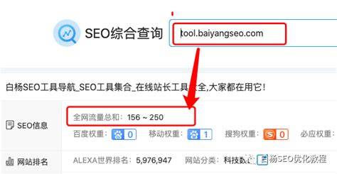 新手seo快速实战操作指南
