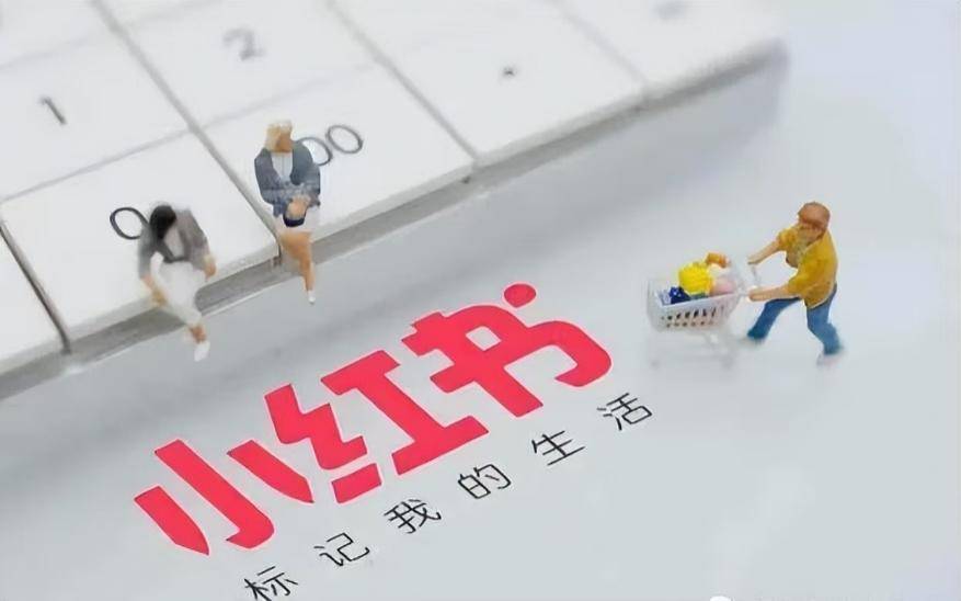 小红书在哪里购买