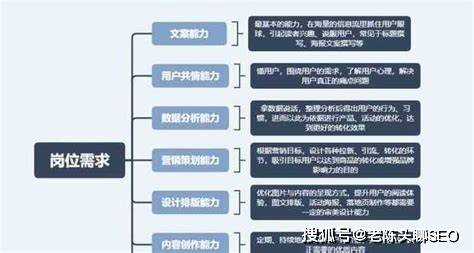 新手seo基础优化实战法则