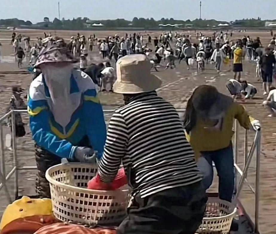 35万人挤爆的荣昌，成了五一最大赢家