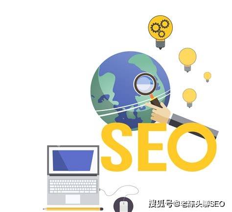 新手seo高效操作路径