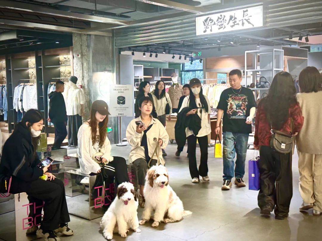 不按套路出牌撬动商业新模式美嘉体育登录(图4)