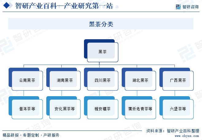 开云登录中国黑茶行业全景调查产业图谱及市场需求规模预测报告(图2)