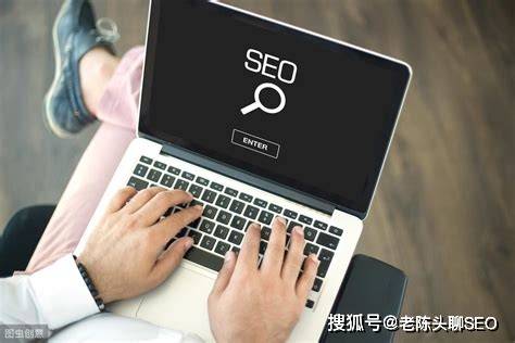 新手seo高效入门指南