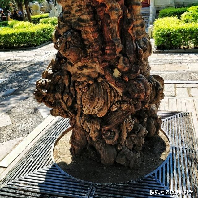 原创             智人之外的人种究竟去哪了？科学家假设：或被咱老祖宗吃掉了？