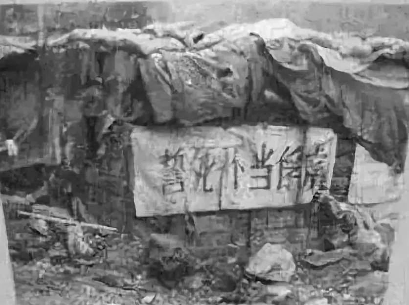 近日曝光！被印军包围，两名落单解放军嘴咬手雷，誓死不当俘虏