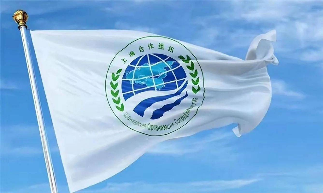 上合会议，巴基斯坦防长一句话，直接戳痛莫迪心窝，董军说了句公道话！