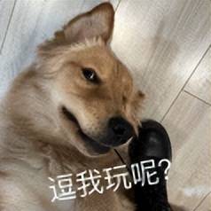 原创             苹果刚公布这项新技术，是想赶超华为？