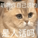 原创             这款万元旗舰新机，史上最尴尬翻车！刚发布 2 个月...