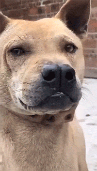 大姐你这破洞裤的洞位置有点不对吧?看着有点想笑