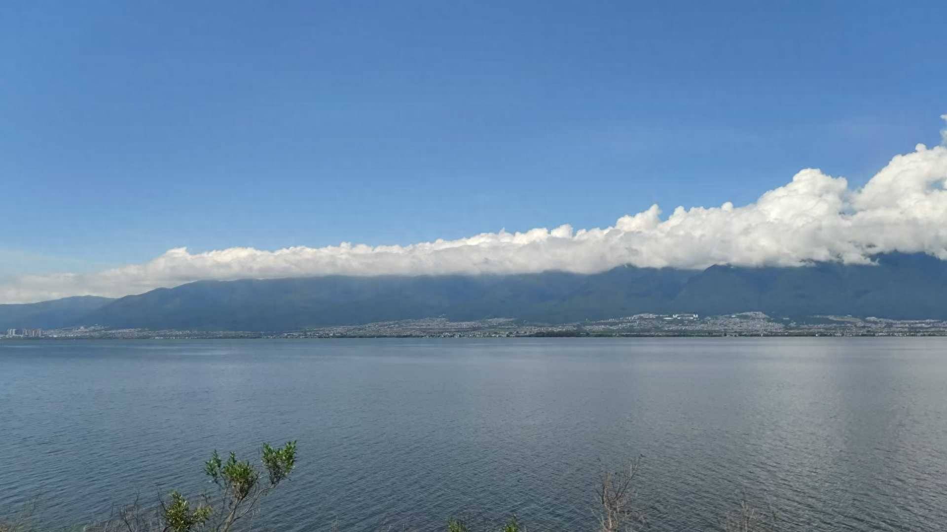 太平洋保险安徽省电销原负责人竟打包出售全省购车人信息？