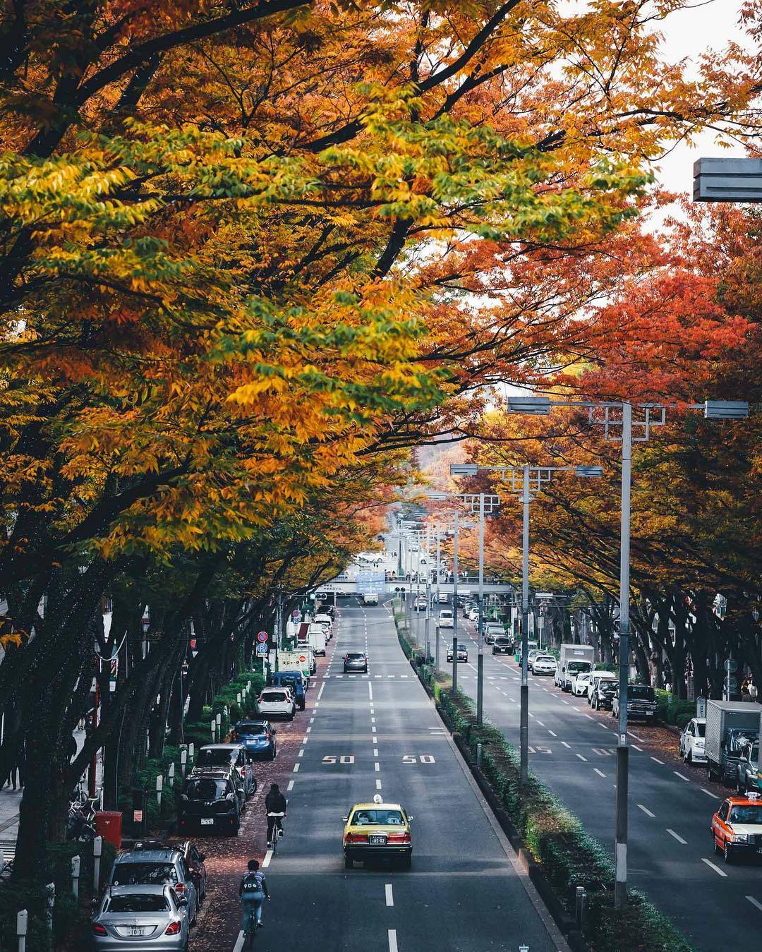 留学中介机乐鱼体育- 乐鱼体育官网- APP世界杯指定平台构排名南京