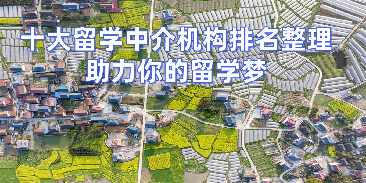 乐鱼体育- 乐鱼体育官网- APP世界杯指定平台北京知名留学中介机构排名