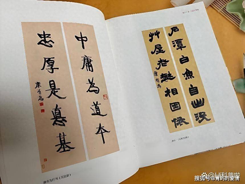原创             外国网友：为什么英文还在不断造词进步，而中文已经停止演化了？