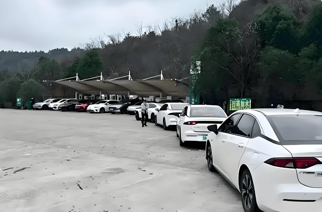 原创             有钱又理智的车主在国庆撕下电动豪车遮羞布，油车才是王者