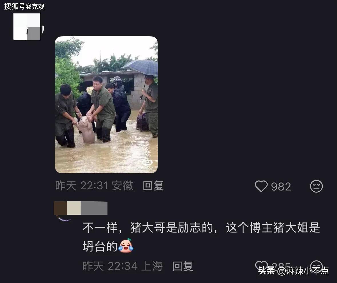 女球迷打断比赛后续：女子身份被扒，疑似酒后闹事，评论区笑麻了