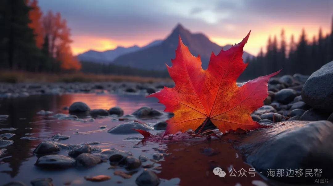 2025年加拿大移民全攻略：最新政策、申请方式、条件、配额、流程乐鱼体育- 乐鱼体育官网- APP世界杯指定平台