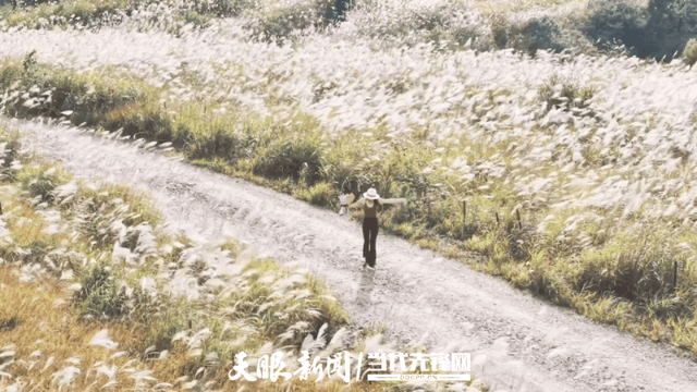 路过龙里大草原也要买门票？当地回应：纯过路不收钱
