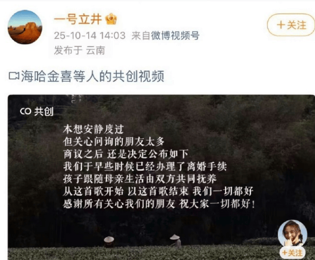 李亚鹏与海哈金喜官宣离婚：孩子跟随母亲生活，由双方共同抚养