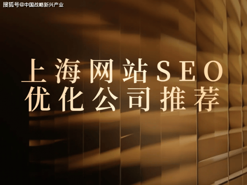 上海最專業的seo公司（上海比較好的seo公司）