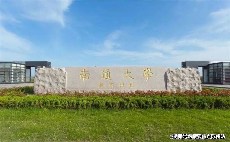 文章配图-15