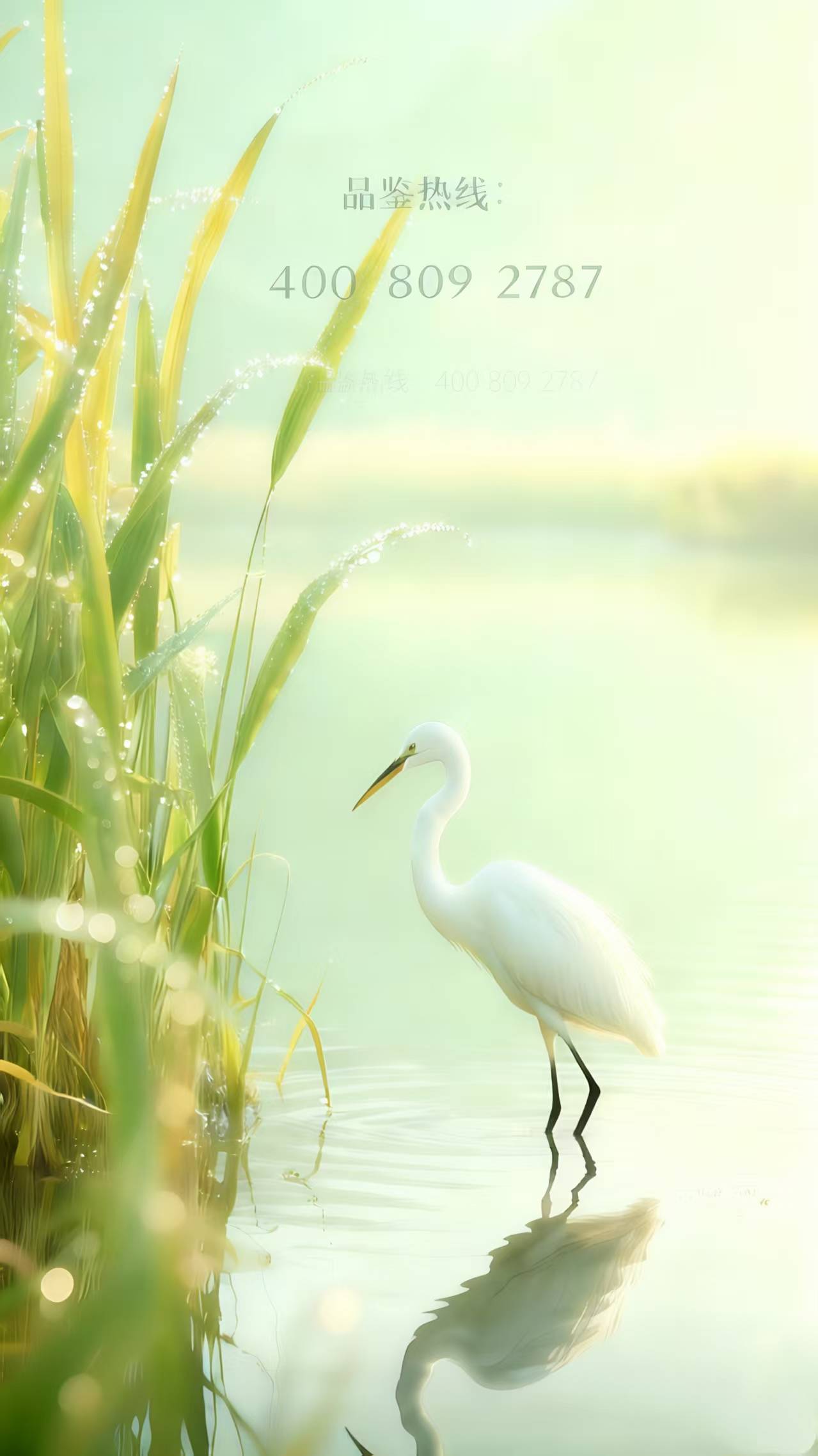 中国·必威汉国置业港匯臺售楼处(广州汉国置业港匯臺)首页网站-营销中心欢迎您-楼盘详情·最新价格-户型图-容积率@20251018售楼处Ai✦热搜