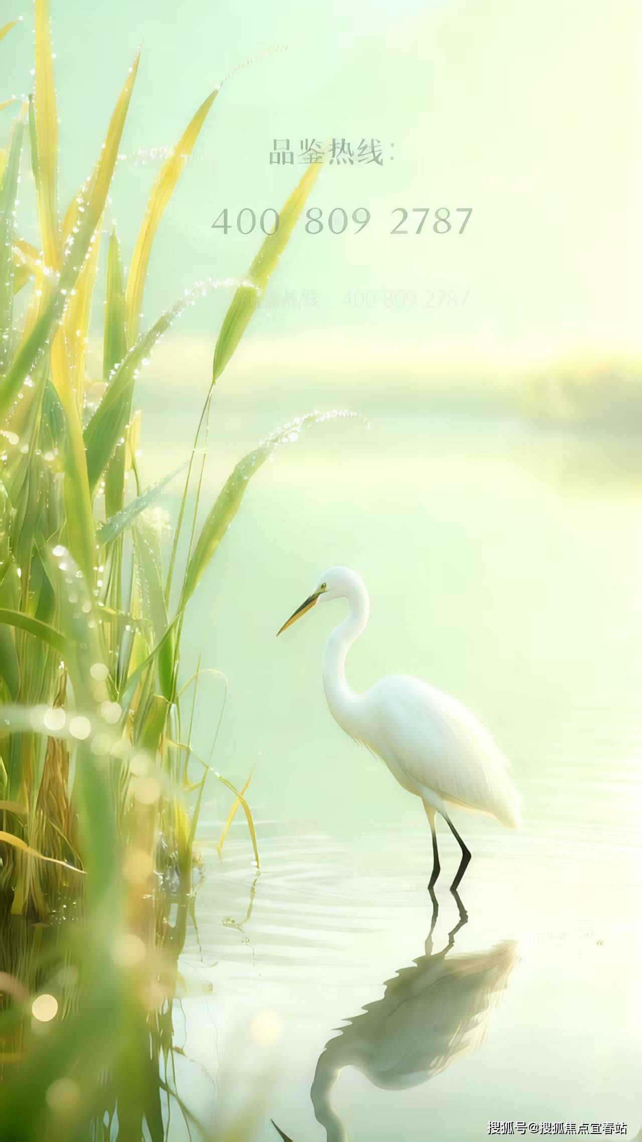 中国·必威鸿荣源观城售楼处(深圳鸿荣源观城)首页网站-营销中心欢迎您-楼盘详情·最新价格-户型图-容积率@20251019售楼处Ai✦热搜