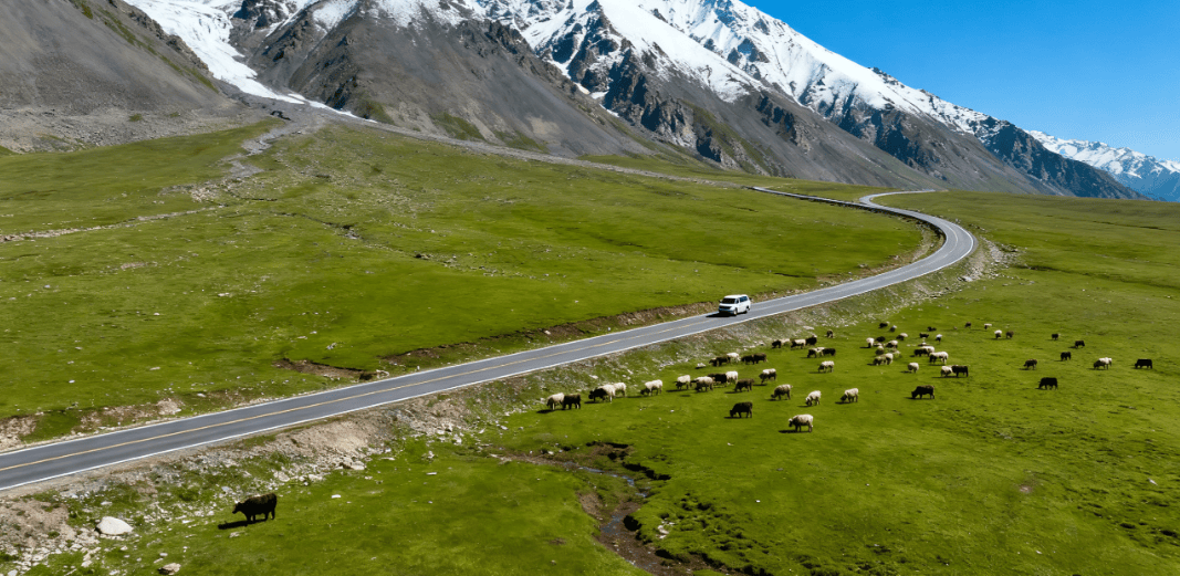 PG电子游戏 PG电子官方网站 2025最新2025 新疆旅行社口碑 TOP 榜：靠谱之选含蒙旅特色附真实推荐清单