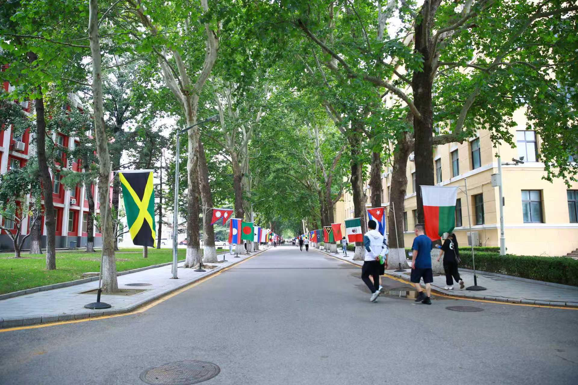 雨燕直播- NBA直播- 足球世界杯 LIVE靠谱的留学项目如何选择？北语留服分享便宜又好的项目