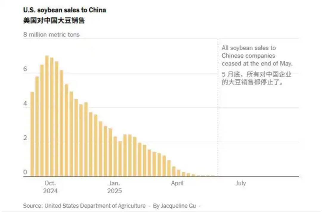 中方同意采购大豆,美国民主党人发现不对劲,美国的损失更严重了