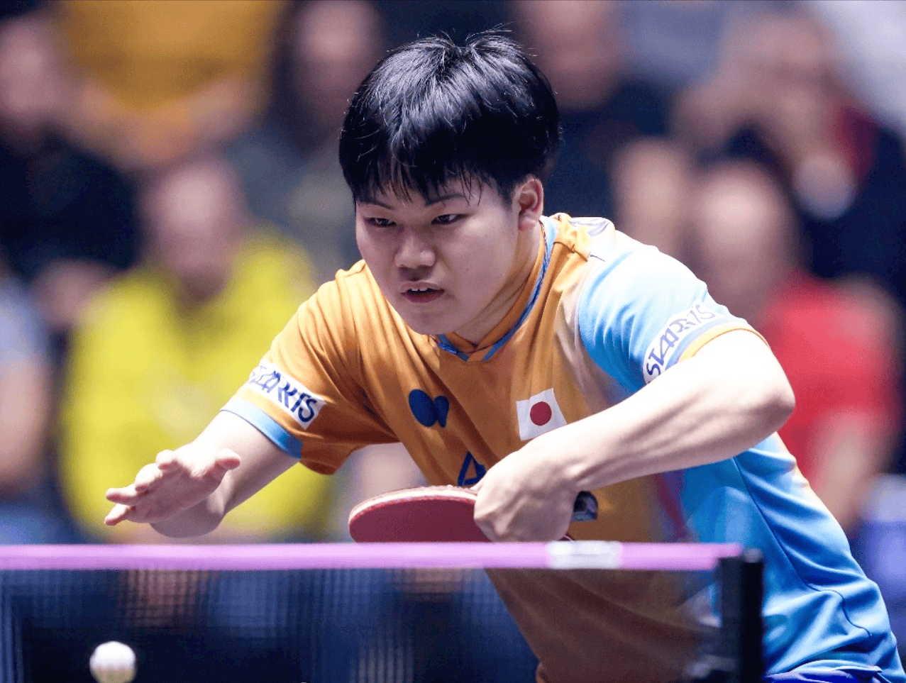 原创 冠军诞生!莫雷加德狂轰4-0横扫日本小将登顶,王艺迪斩获1金收官