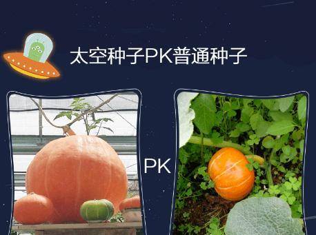 原创             92年宇航员夫妇被秘密送上太空，媒体问：太空发生关系什么感觉？