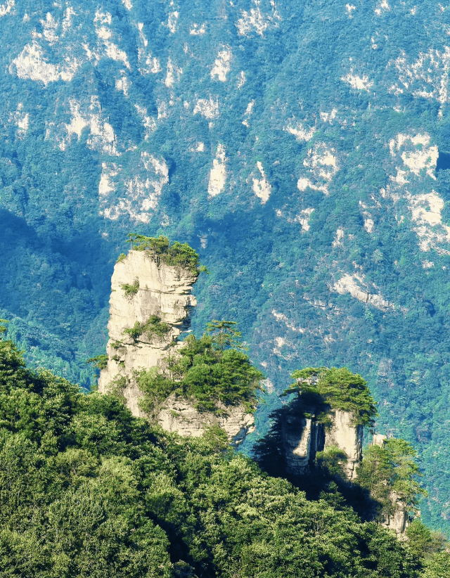 家庭游首选张家界家庭小团推荐与张家界游攻