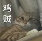 原创             内涵华为？联想一句 “ Air 别乱叫 ” ，给自己彻底干火了