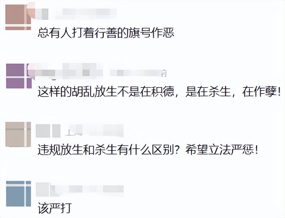 事发苏州河！又有人干这事，画面引人不适！上海明确禁止，危害极大，严重可追究刑责