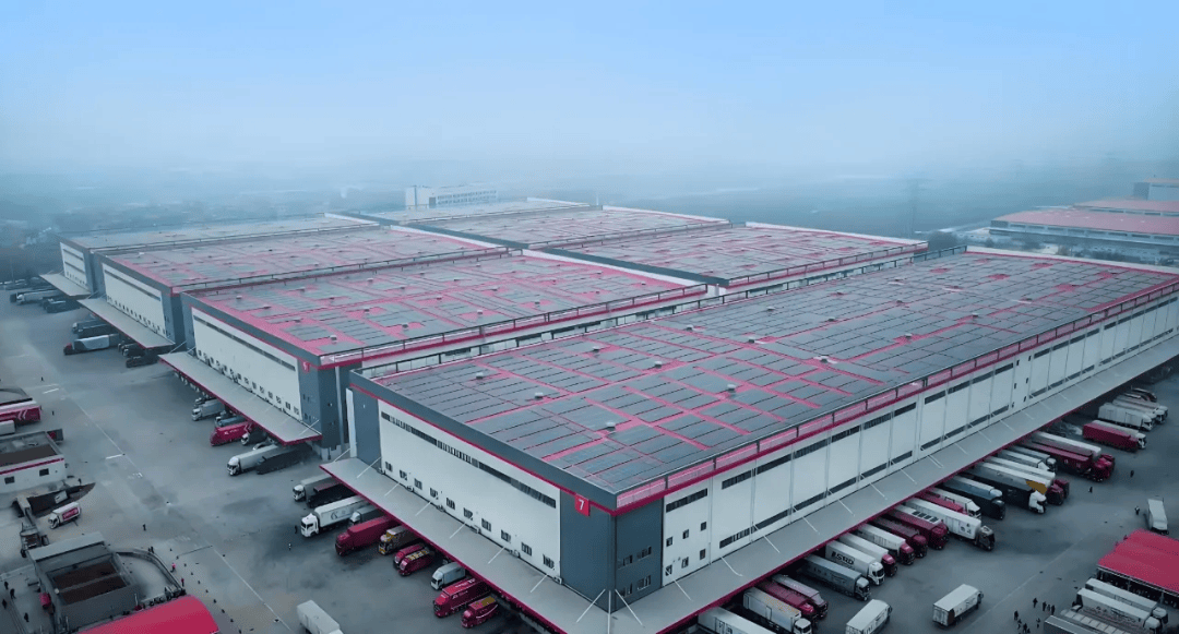 烟花散去刘强东