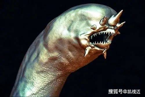 显微镜下的微生物世界：微观中的大宇宙