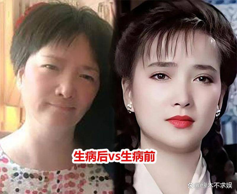 何晴去世后续:同学曝其生前诸多苦恼,儿子出生户口不能上自己家