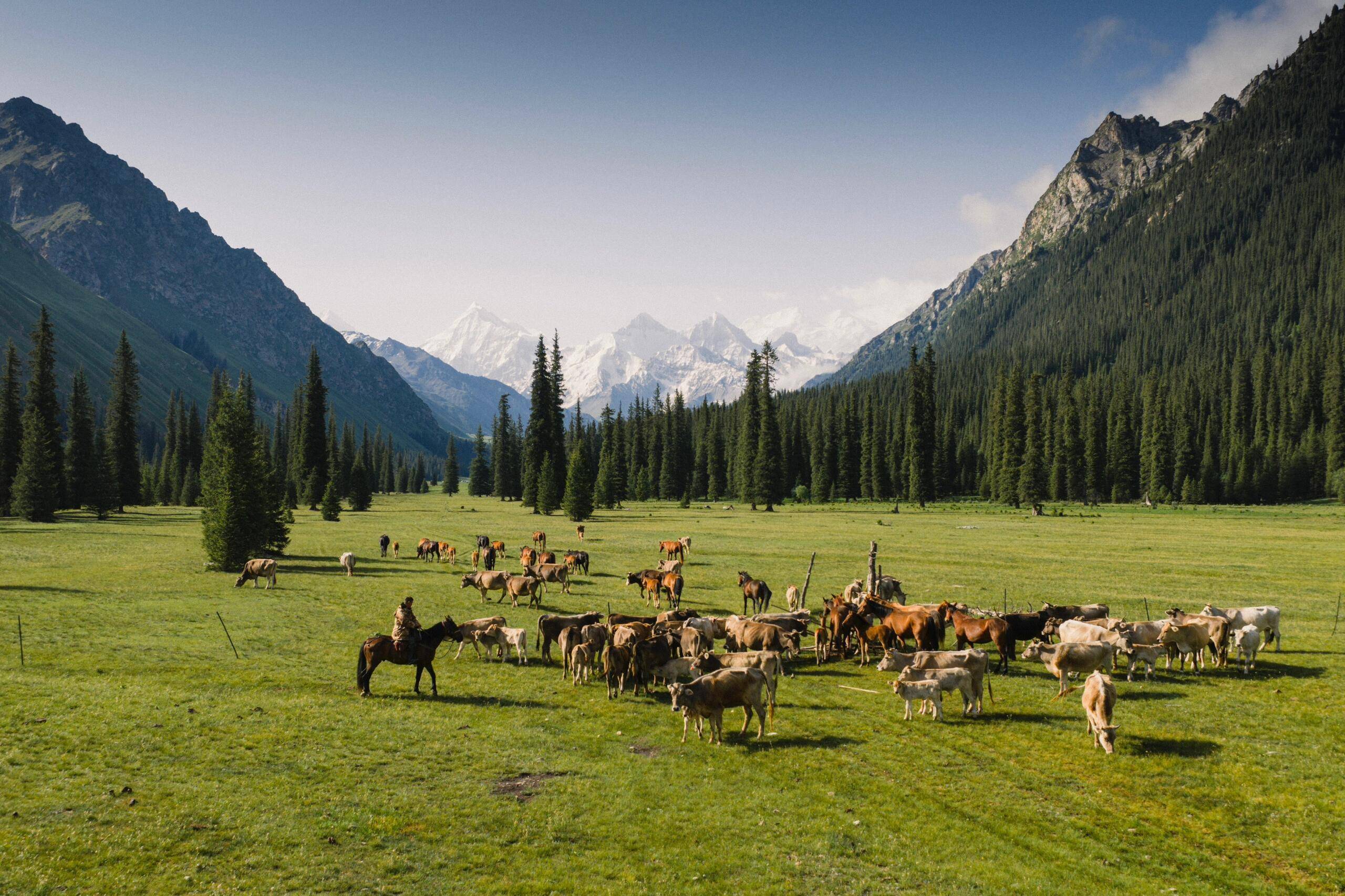 官方认证！新疆高口碑导游推荐名单【OKX 哈希游戏】区块链加密游戏玩法教程，新手必看！