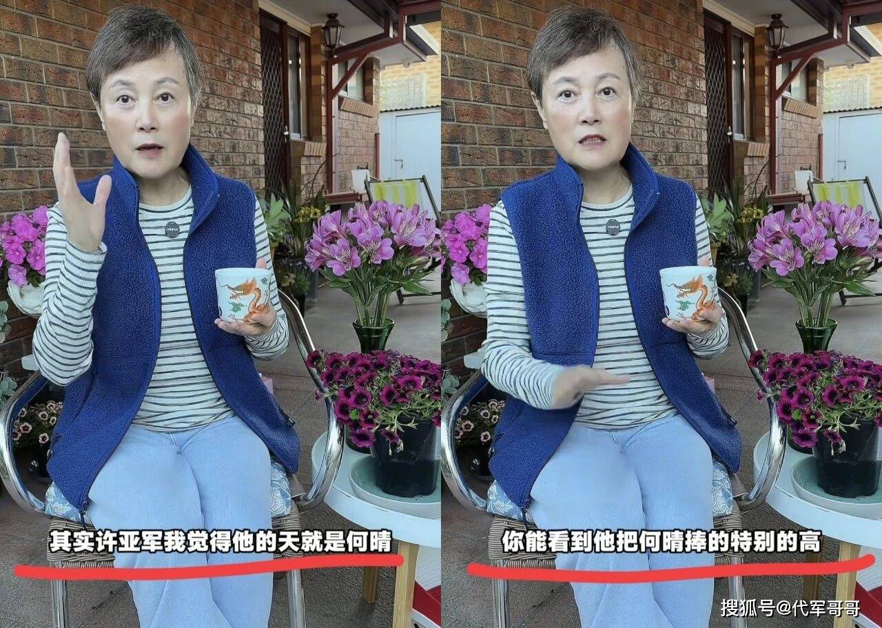 史晓燕曝何晴离婚咎由自取，赞同许亚军缺席葬礼，自己被扒了个底朝天