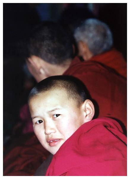 洛桑丹真，敛财2亿，毁掉100个女人，最小的仅16岁，为何有人信他