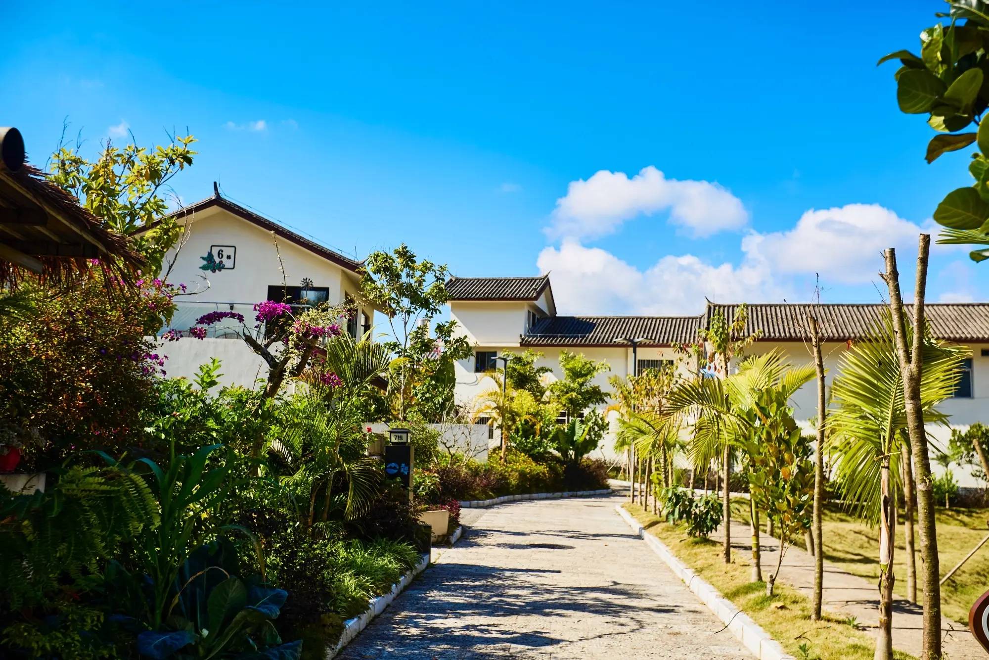 村云南本土与现代技艺交融的咖啡文化生活不朽情缘游戏平台普洱思茅南岛河村美丽星(图4)