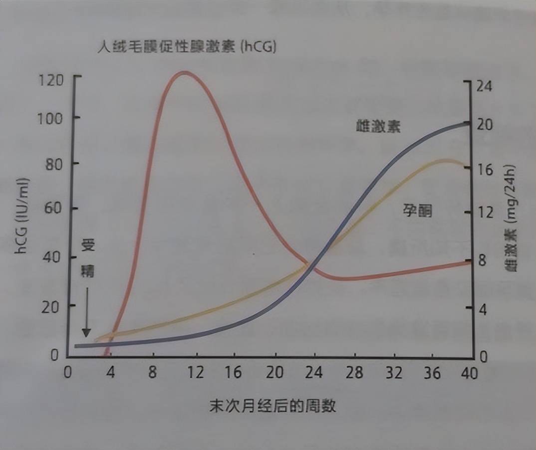 怀孕后身体会有哪些变化?附孕期保健怎么做