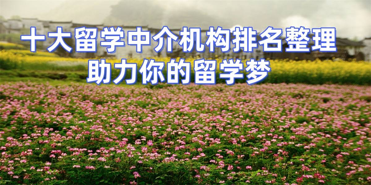 武汉十大出国留学中介服务机构口碑排行榜汇乐鱼体育- 乐鱼体育官网- APP世界杯指定平台总