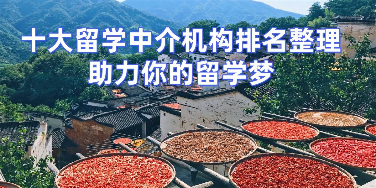 如何找到合肥最好的研究生留学中介？诚信评